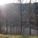 Obernau2