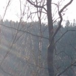 cropped-Foto-2.jpg