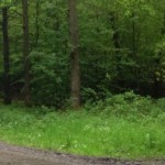cropped-IMG_2309.jpg