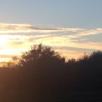 cropped-IMG_2853.jpg