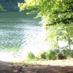cropped-IMG_3329.jpg