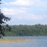 cropped-IMG_3330.jpg