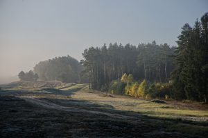 Lüneburger Heide