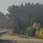 cropped-DSC_1135.jpg